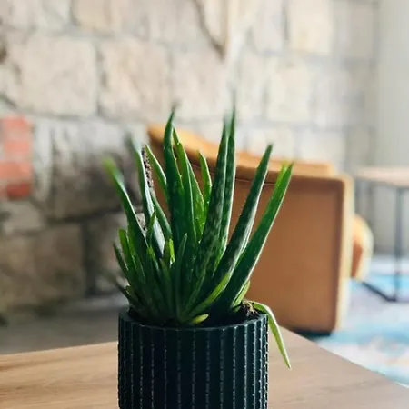 Homestay Goscinne Cichosza Szklarska Poreba