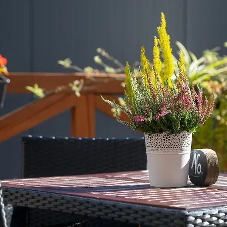 Goscinne Cichosza Séjour chez l'habitant