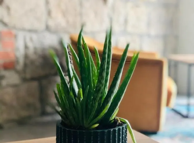 Accommodatie bij particulieren Goscinne Cichosza Szklarska Poręba