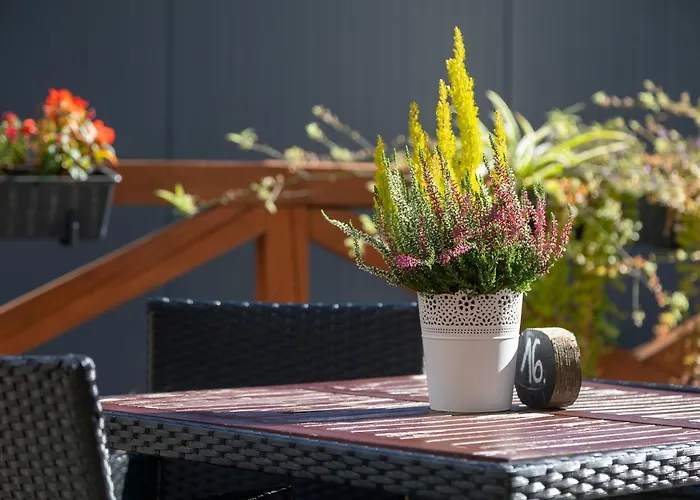 Goscinne Cichosza Accommodatie bij particulieren